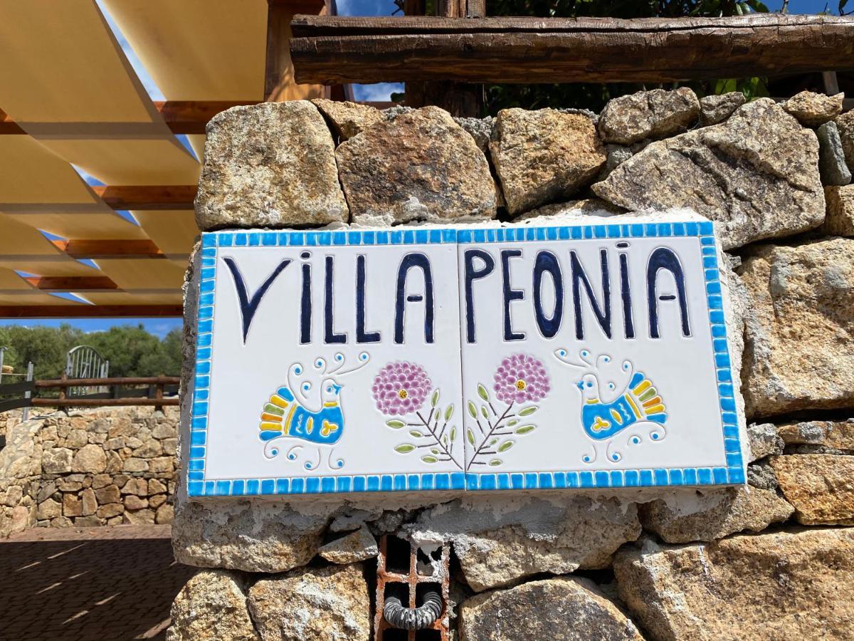 Villa Peonia Budoni Dış mekan fotoğraf